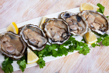 Seafood appetizer fresh oysters with lemon and parsley on white plate