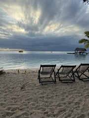 beach chairs and umbrellas on the beach