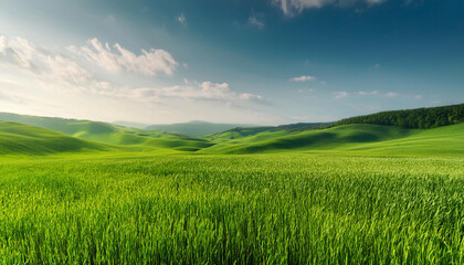 Obraz premium Close-Up of a Landscape with Green Fields