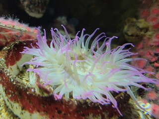 Drinks, nature, mountains, roads, trails, view, trees, work, plumbing, fun, land, oceans, outdoors