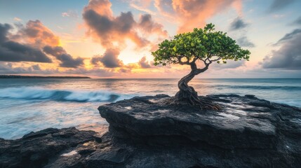 A solitary bonsai tree growing on a rocky cliff, with waves crashing below and a vibrant sunset sky 