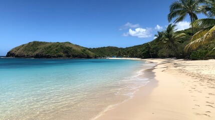 Fototapeta premium A sandy beach in Fernando de Noronha, crystal-clear waters and palm trees swaying in the wind 