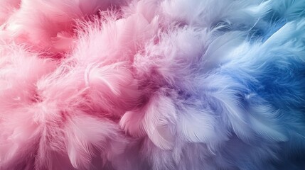 Soft pastel pink and blue feathers background. (1)