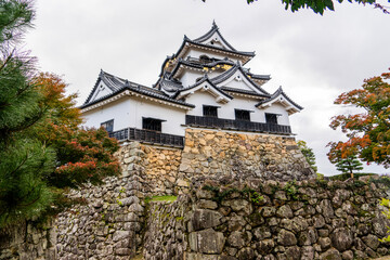 Naklejka premium 彦根城の風景