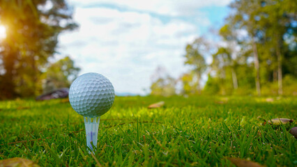 Golf ball on tee in a beautiful golf course with morning sunshine.