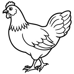 Cute  Line Art Chicken Silhouette Black Vector Illustration