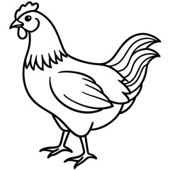 Cute  Line Art Chicken Silhouette Black Vector Illustration