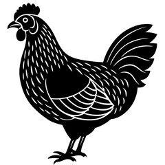 Cute  Line Art Chicken Silhouette Black Vector Illustration