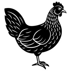 Cute  Line Art Chicken Silhouette Black Vector Illustration