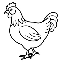 Cute  Line Art Chicken Silhouette Black Vector Illustration