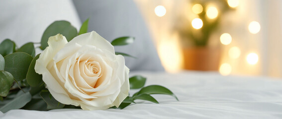 Obraz premium Single Cream Rose on Bed with Bokeh Lights.