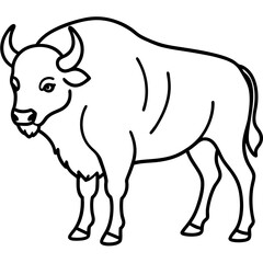 Cute  Line Art Bison Silhouette Black Vector Illustration