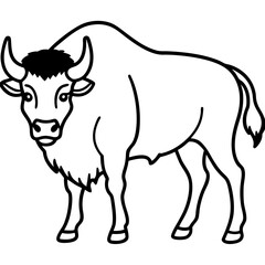 Cute  Line Art Bison Silhouette Black Vector Illustration