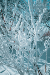 한국의 겨울 덕유산