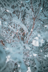 한국의 겨울 덕유산