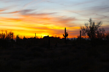 sunset over the desert