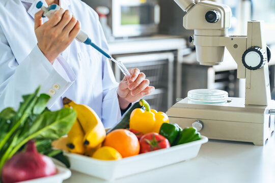 research, vegetable, experiment, microscope, scientist, nutritionist, fruit, food, dietitian, observation, researcher, laboratory, nutrition, inspection, safety, medical, science, ingredient, analysis