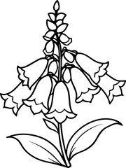 Line Art Illustration of a Purple Foxglove Flower, vector illustration 