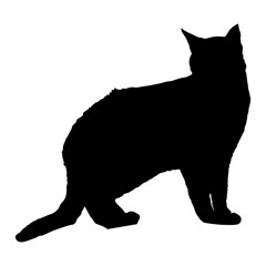 Cat Standing Silhouette