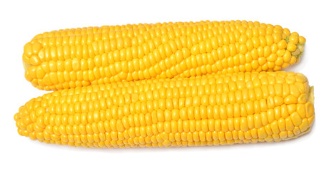 Fresh corn cob isolated on white background
