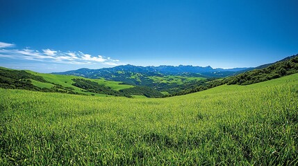 Obraz premium Lush green valley landscape under a vibrant blue sky.