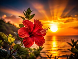 Crimson Hibiscus Silhouette - Tropical Sunset Backlit Flower