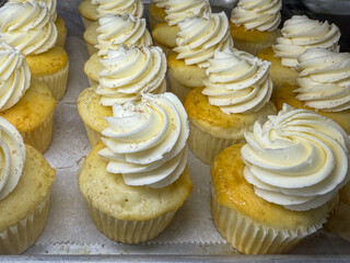 Gourmet Cupcakes With Swirled Icing