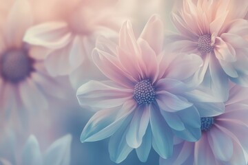 Fototapeta premium Close-up of Soft Pastel Pink and Blue Flower Petals