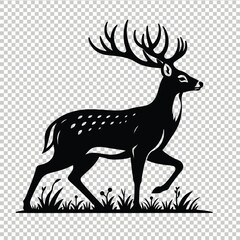 Whitetail deer vector