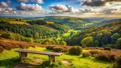 Serene view from a wooden bench atop a wooded hill overlooking the tranquil Dart Valley in Dartmoor National Park, Devon