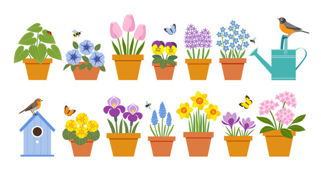 Vector set of colorful spring garden flowers in pots, birds, bees, butterflies, watering can and bird house isolated on white background.