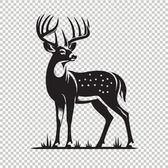 Whitetail deer vector