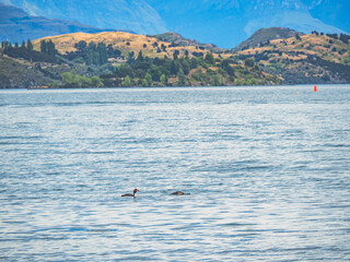 NYE Wanaka 2025