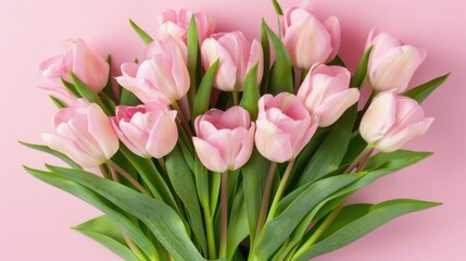 Obraz premium Exquisite Spring Flower Arrangement: A Pink Tulip Bouquet with a Pastel Pink Background for Festive Occasions