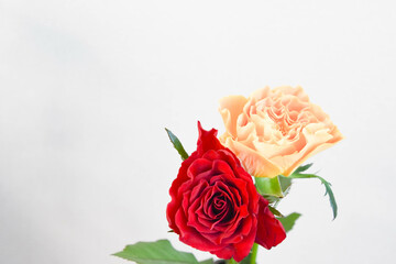 赤とオレンジ色のばら