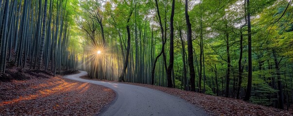 Fototapeta premium Serene Forest Path with Sunlight Peeking Through Trees, Tranquil Nature Scene, Curving Road Surrounded by Lush Green Foliage and Colorful Leaves
