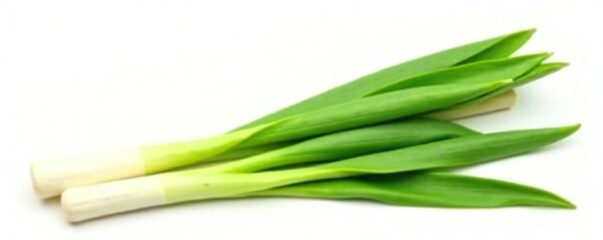 Fresh lemongrass stalk isolated on white background, citrus, tropical