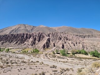 Landscape in the desert