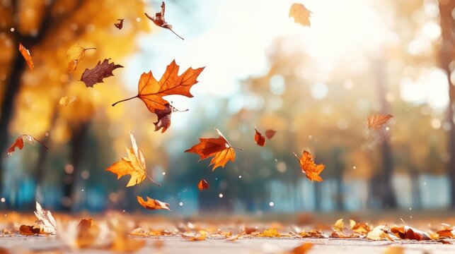 A serene autumn scene with colorful leaves swirling in the air, illuminated by soft sunlight, creating a warm, inviting atmosphere.