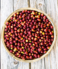 Red Coffee  cherries in the basket top view