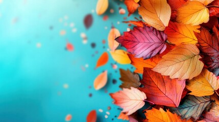 A vibrant arrangement of colorful autumn leaves scattered over a blue background, showcasing warm hues of orange, red, and yellow.