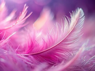 Obraz premium Miniature Pink Feather Texture Background: Tilt-Shift Photography