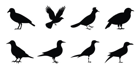 Fototapeta premium Birds silhouette collection on white background