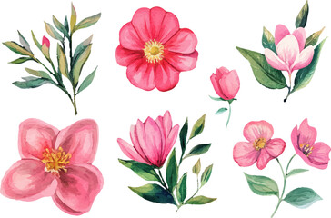 pink and white tulips