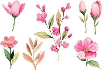 pattern with pink flowers