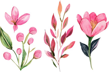 pattern with pink tulips