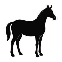 A simple standing horse silhouette with minimal details, vector art