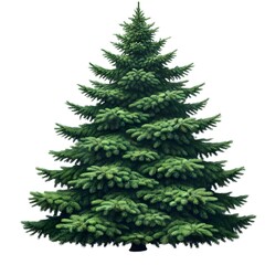Fototapeta premium Realistic Lush Pine Tree Illustration on Transparent Background