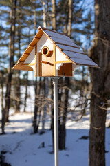 Beautiful Wooden Birdhouse in Snowy Forest During Winter Season