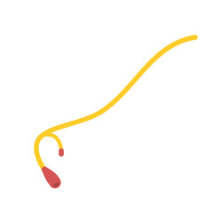 Urinary catheter vector